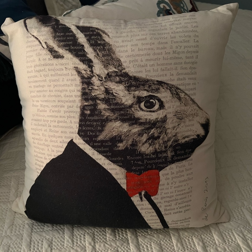 World Market Decorative Pillow